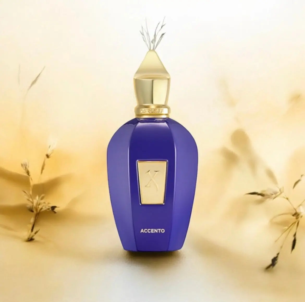 Accento Xerjoff, parfum de niche unisexe aux accords fruités et boisés.