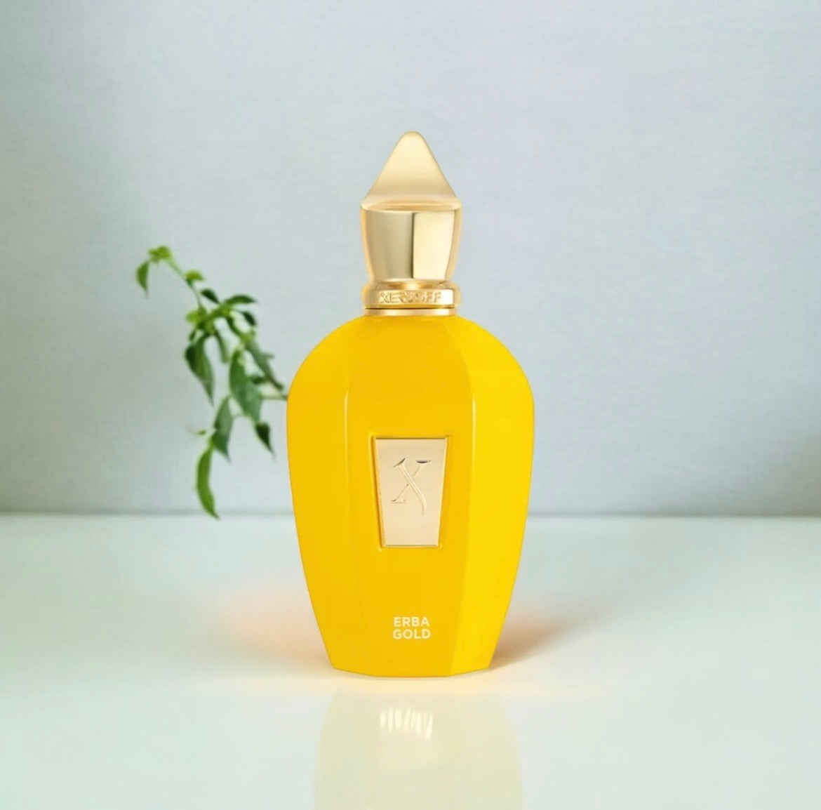 Xerjoff Erba Gold, parfum de niche unisexe aux accords fruités et épicés, disponible en parfumerie Casablanca.