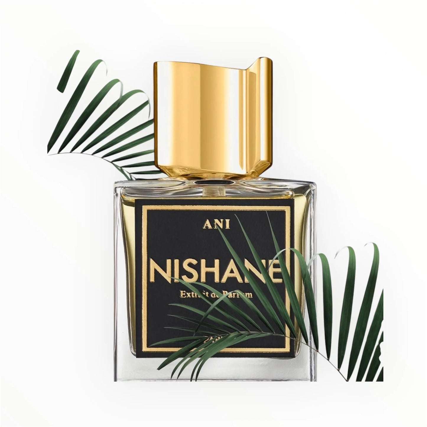 NISHANE Ani Sentoria Parfums