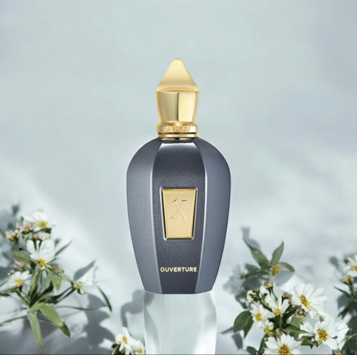 Xerjoff Ouverture, parfum de niche unisexe floral et boisé, disponible en parfumerie Casablanca.
