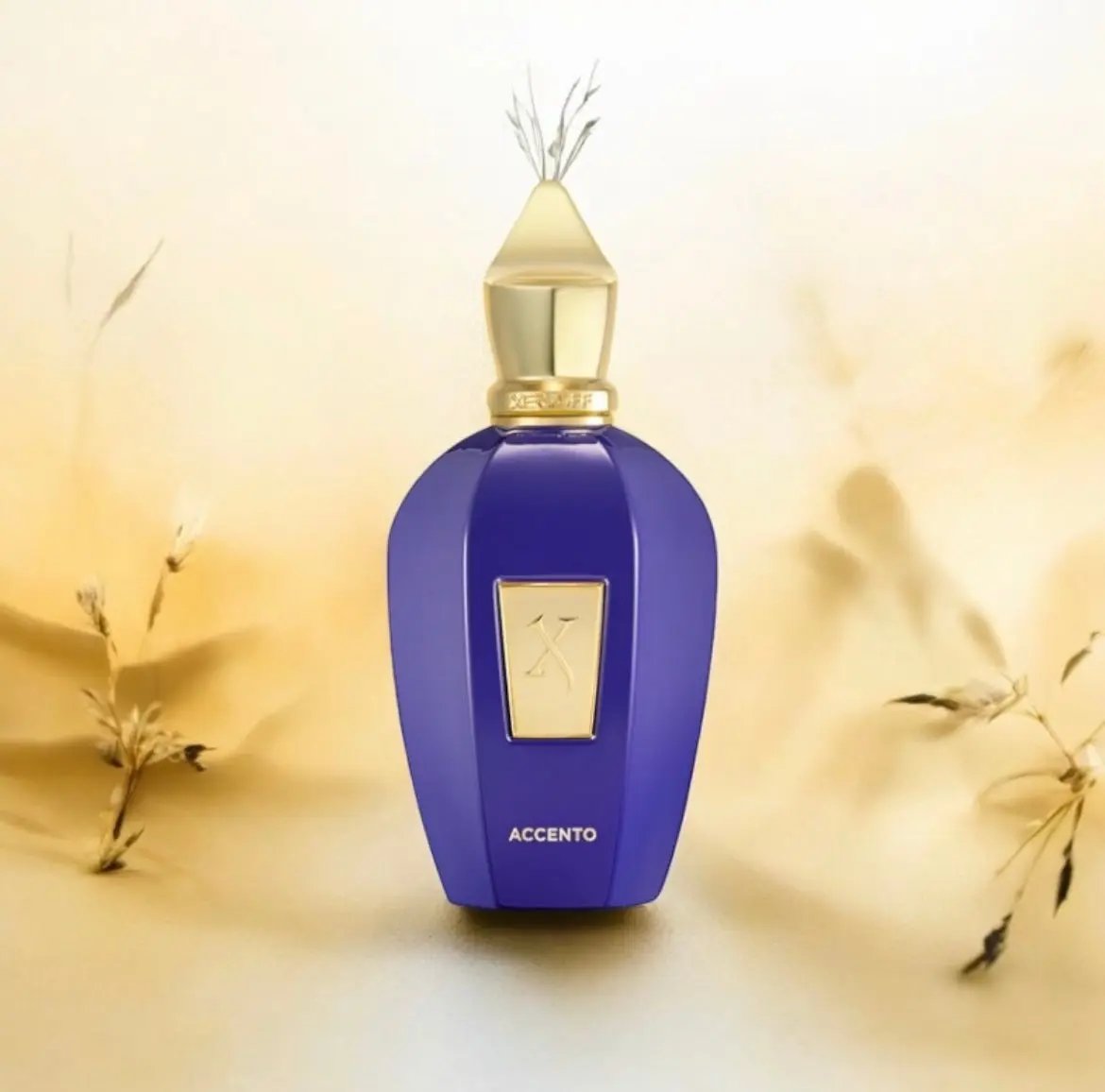 Accento Xerjoff, parfum de niche unisexe aux accords fruités et boisés.