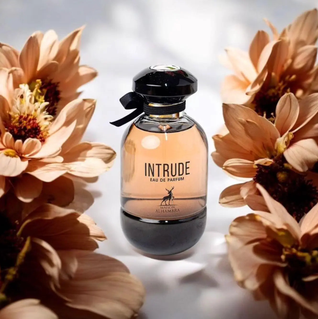 Parfum L'Intrude de Maison Alhambra - Une fragrance féminine inspirée de L'Interdit de Givenchy. Découvrez ce parfum audacieux et mystérieux au Maroc sur Sentoria.ma, votre parfumerie en ligne pour des parfums pour femmes à Casablanca et dans tout le Maroc.